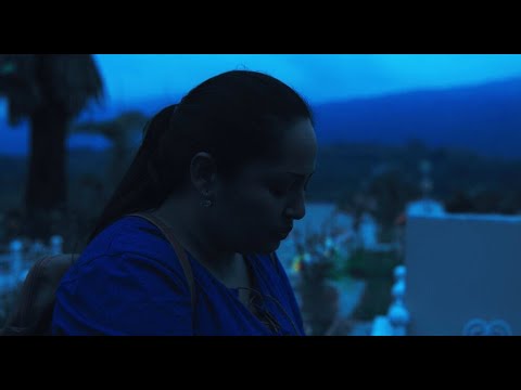 WAKANI (Espíritu del bosque) - Tráiler Oficial