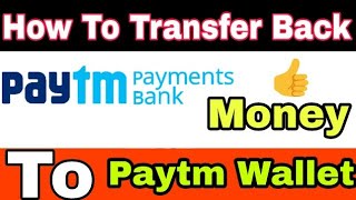 How To Transfer Back Paytm Payments Bank Money To Paytm Wallet | Hindi/Urdu
