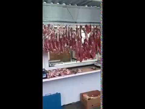 Гушти гов гуспанд дар Екатеринбург мархамат