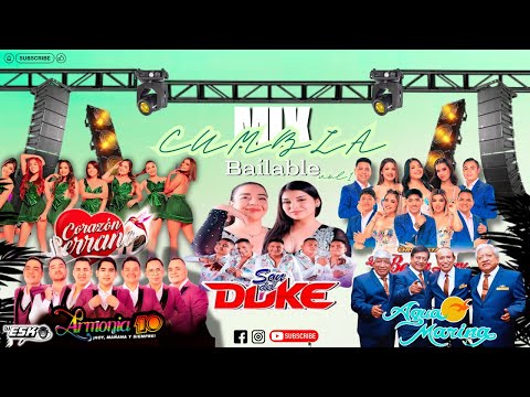 MIX CUMBIA BAILABLES - 2025 - ( Mi Vecina , Cevichito , Coqueta, Cervecero ,Culibritica) - Dj EsKo