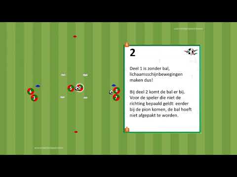 Zuidvogels video training   partijvorm 1