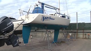 Sailboat Collides With Whale During San Francisco Bay Boat Race