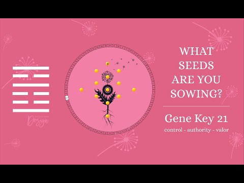 Archetype 21: The Manager (Gene Key 21)