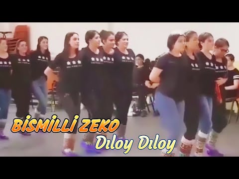 Bismilli Zeko - Dıloy Dıloy-Hareketli Govend Halaylar
