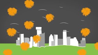 How does the weather affect your allergies | First Warning Weather University