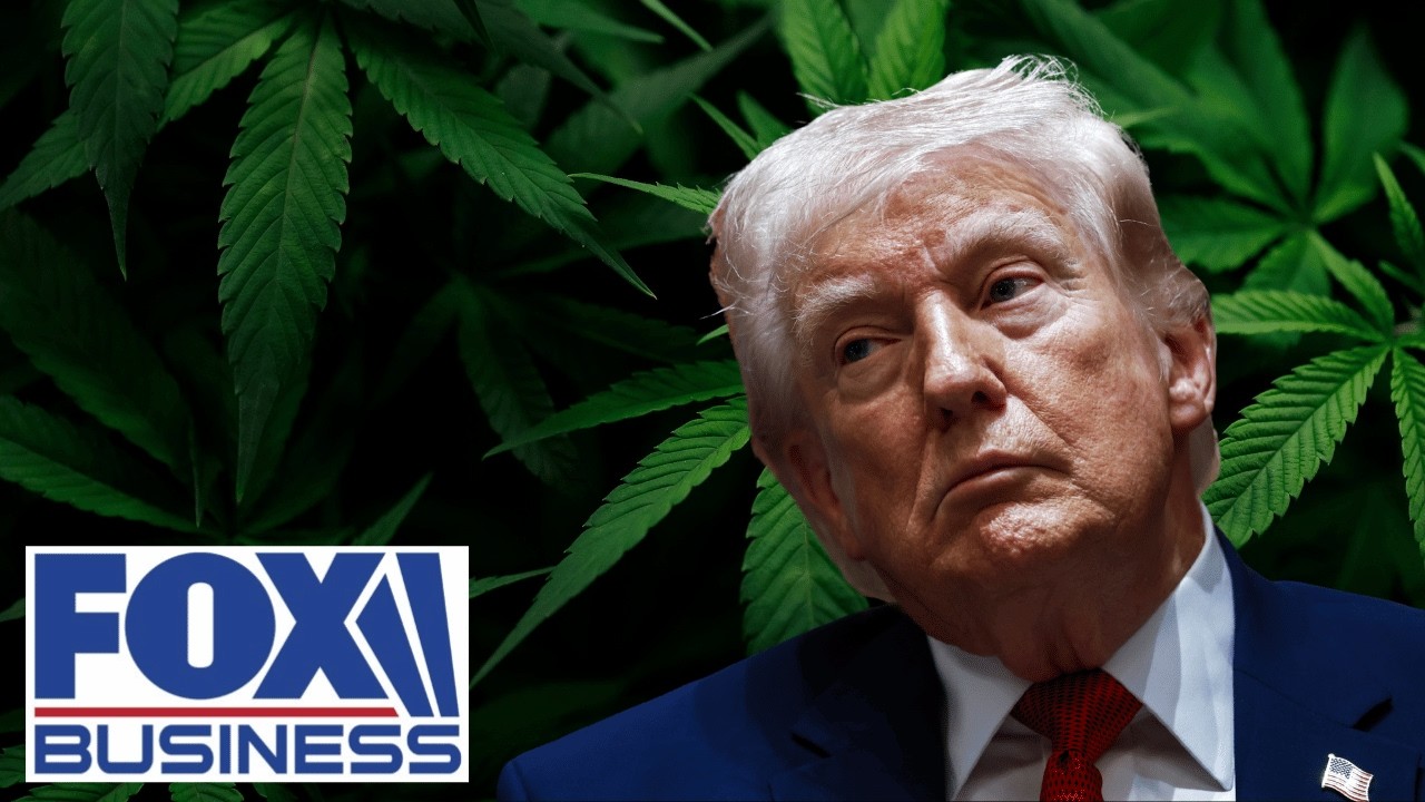 'GIANT STEP FORWARD': Reclassification of medical cannabis lauded