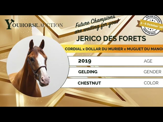 Jerico Forets showvideo