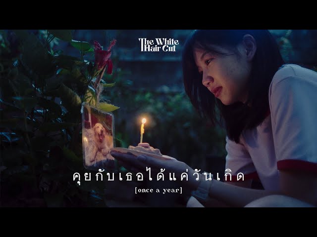 คุยกับเธอได้แค่วันเกิด (once a year) - THE WHITE HAIR CUT