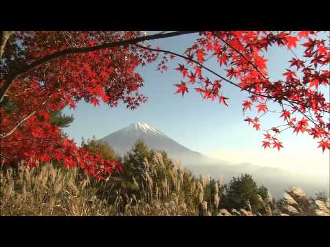 （山梨県公式映像）富士山世界遺産構成資産巡り 富士山の四季編
