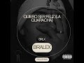 Bralex Quiero Ser Feliz La Guaracha BRLX Visualizer