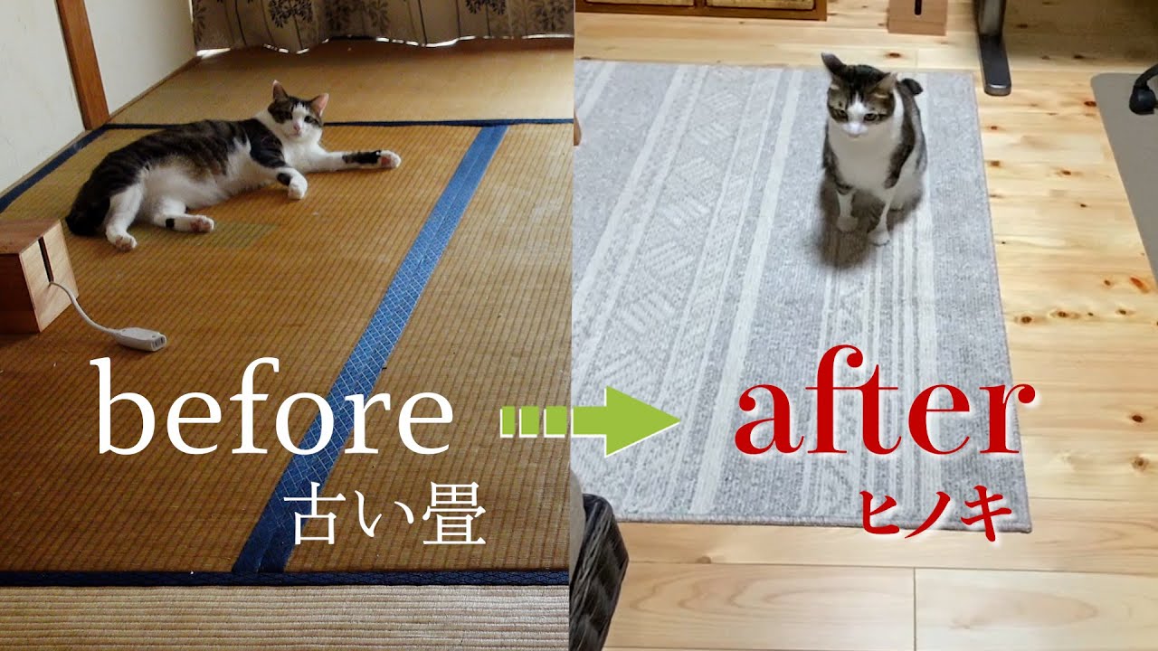 【DIY日曜大工】畳をフローリングにしたら予想以上に輝く部屋となりました