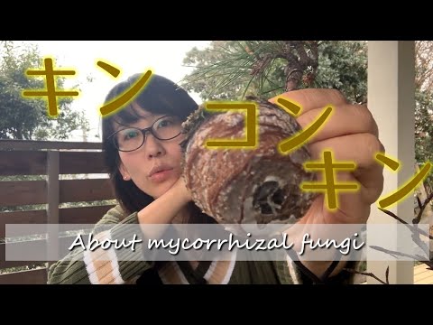 菌根:美しい植物の秘密 トピックス