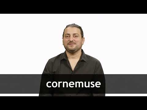 Translate CORNEMUSE from French into English