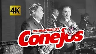 Internacionales Conejos - Concierto Fieston 132 Aniversario / Calidad 4K Internacionales Conejos - Concierto Fieston 132 Aniversario / Calidad 4K