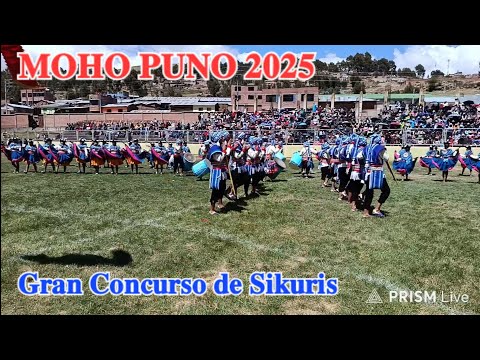 GRAN CONCURSO DE SIKURIS NIVEL PRIMARIO Y SECUNDARIO MOHO PUNO PERÚ 2025