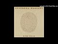 01  - Devendra Banhart - Wake up, Little Sparrow (2004)