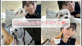 レオくんとランチデート🫶🏻