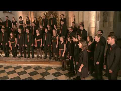 Abschied vom Walde (Felix Mendelssohn Bartholdy) – Landesjugendchor Kärnten/Koroška