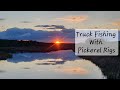 Video Thumbnail for Truck Fishing With Pickerel Rigs