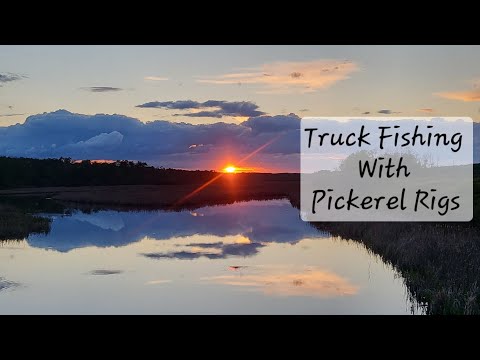 Truck Fishing With Pickerel Rigs