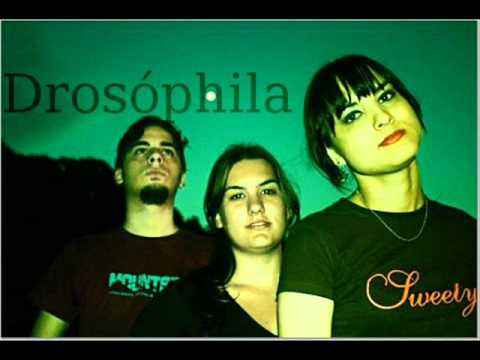 Drosóphila - Pastilha Efervecente
