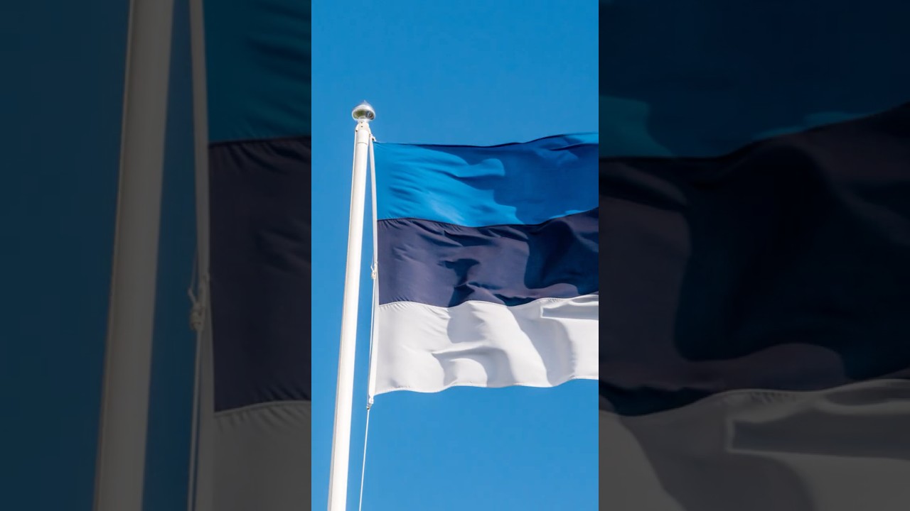 Happy Independence Day, #Estonia! 🇪🇪