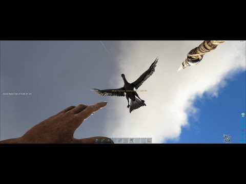 ARK - Wild female Ichthyornis wants my spear!