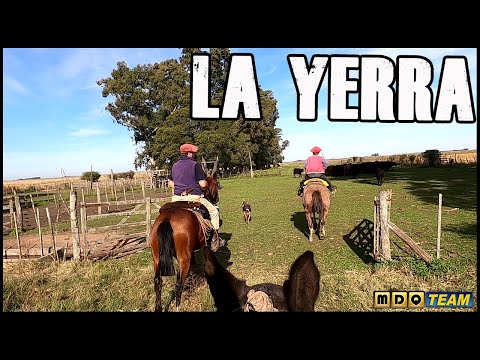 Epoca de YERRA en el CAMPO - vida campestre