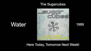 The Sugarcubes - Water - Here Today, Tomorrow Next Week! [1989]