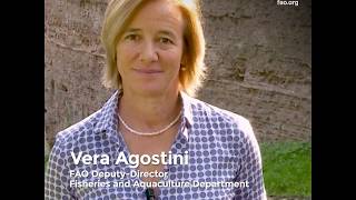 Fisheries Innovation