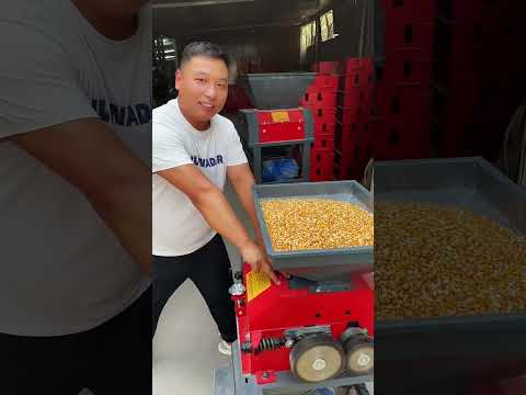 #New corn petal breaking machine with an hourly output of 8000 #Farming and fattening sheep,