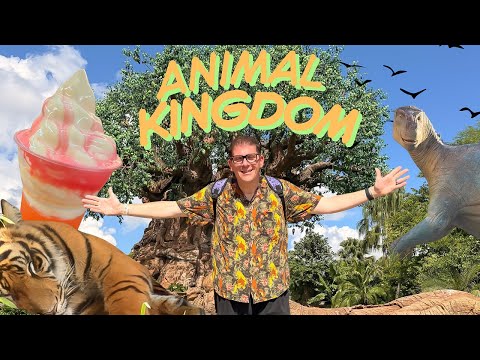 Disney’s Animal Kingdom – a beautiful park in Walt Disney World & Pandora is fascinating