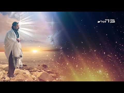 ותחזינה עינינו - הגה"צ הרב דב הכהן קוק שליט"א