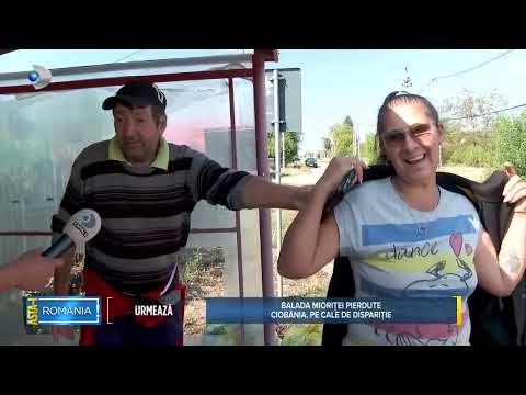 Asta-i Romania (29.09.2024) - Viata de asistat: bani putini, odihna multa!