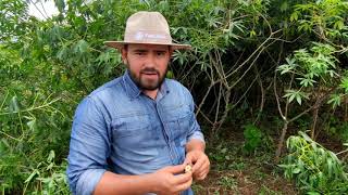 Miniatura do vídeo