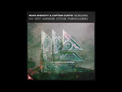 Roan Shenoyy & Captain Curtis feat. Nino Lucarelli - In My Arms (Stefan Bros & KANON Remix)