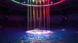 しながわ水族館vsアクアパーク品川