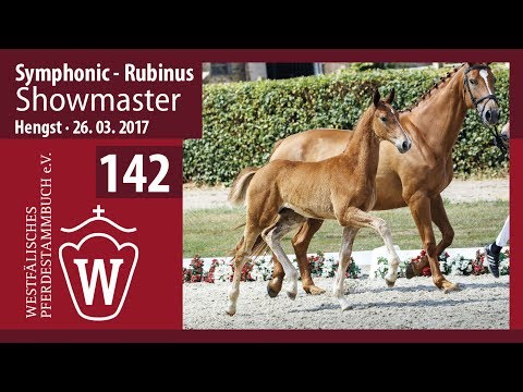 142 Showmaster  Hengst v. Symphonic - Rubinus