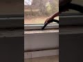windows sill replacement - how to change damage window wood  #windowsill #windows cill  #shorts