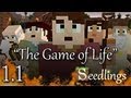Seedlings 1 01 The Game Of Life