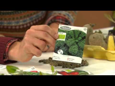 Anders Stålhands tips: Odla din egen mat - Nyhetsmorgon (TV4)