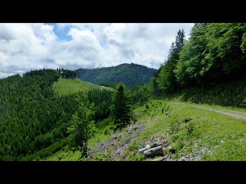 Alpine Bergtouren - (22) Österreich, Großer Sulzberg