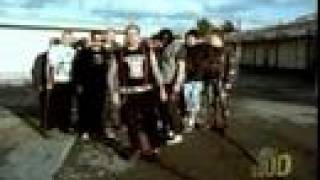 Lars Frederiksen And The Bastards - Wine And Roses