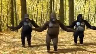 Cover art for Get Connected for Free