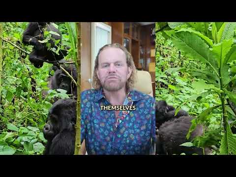 Sorry Vegan, You're Not A Gorilla