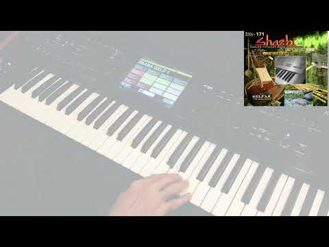 EXs 171 Shaa’bi Part B - Rababat الربابة  الشعبية