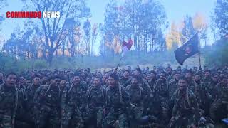 Download lagu Yel Yel Siswa Komando Marinir mp3