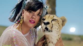 Lily Allen - Air Balloon [Music Video]