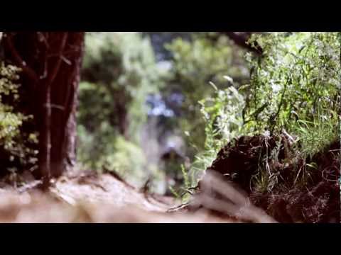 Justin Leov | Mountain Biking | Insiders Dunedin