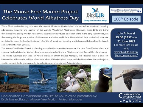 Conservation Conversations: The Mouse-Free Marion Project Celebrates World Albatross Day (21Jun22)